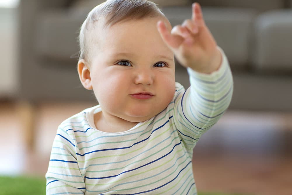 Baby Signing Develops Early Communication Skills